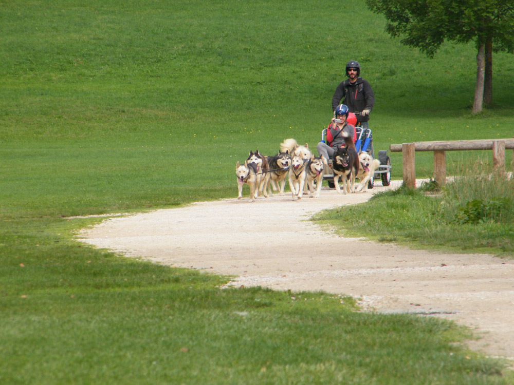 Baptême en cani-kart - SHERPA - Chiens de Traineau Pyrénées