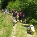 Groupe d'enfants en cani-rando