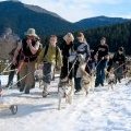 Cani rando - Sherpa Base de chiens de traineaux Pyrénées