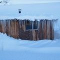 Le Kota sous la neige