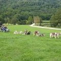 Petite pause !