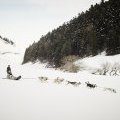 Descente en traîneau