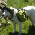 Equipement complet : chapeau et sac de bât !