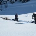 Baptême avec conduite assistée