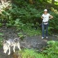 Cani-rando - Parcours en forêt